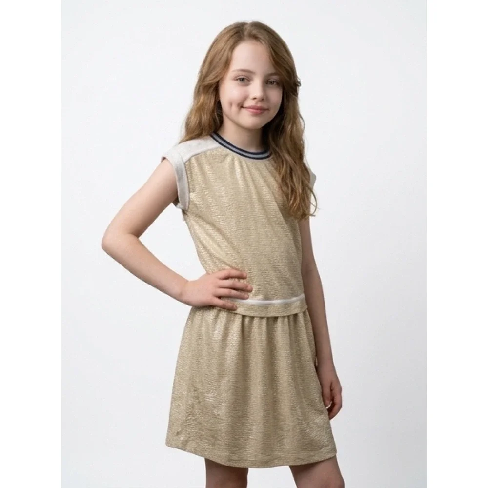 Crewcuts J.Crew Gold Metallic Textured Dress Kids 14 Shimmer Drop Waist EC4V 6JA